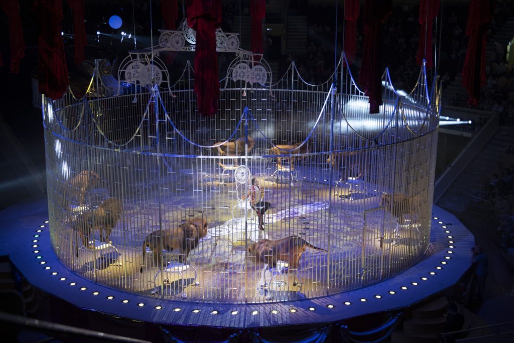 В цирке на Фонтанке премьера шоу фонтанов – «Принц цирка».