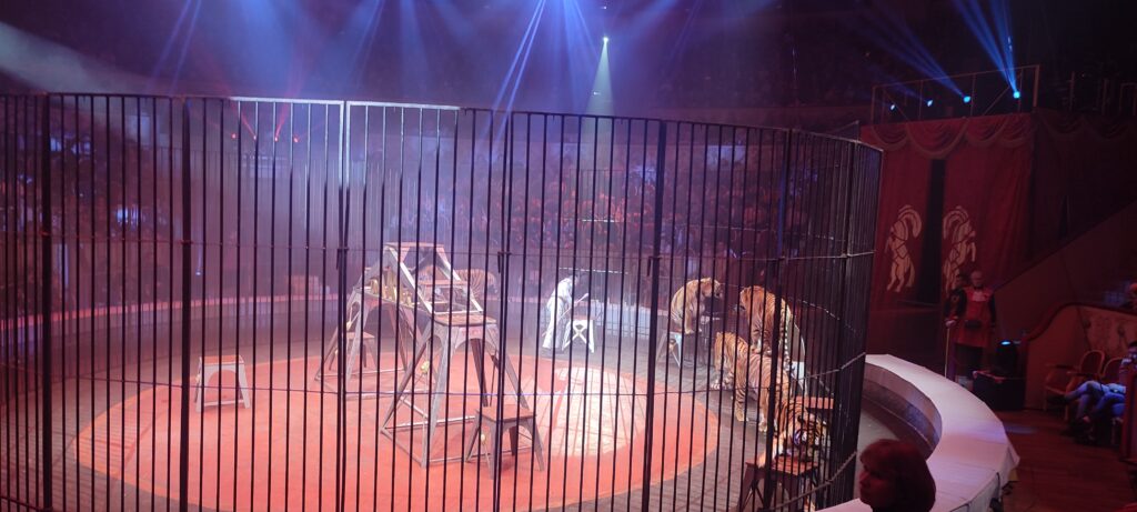 I международный Фестиваль циркового искусства «Без границ» в цирке на Фонтанке